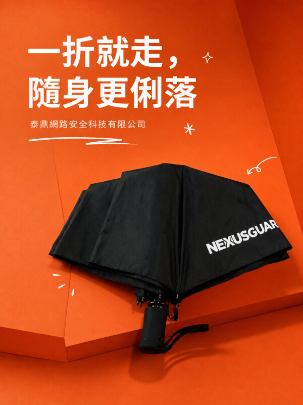 泰鼎網路安全科技有限公司