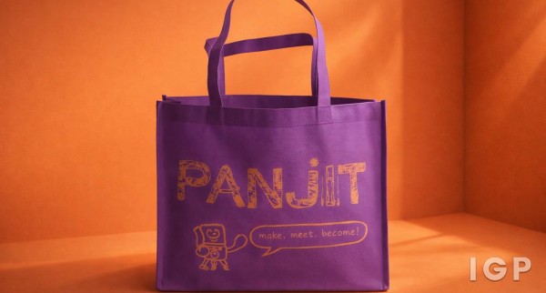 Pan Jit International Inc
