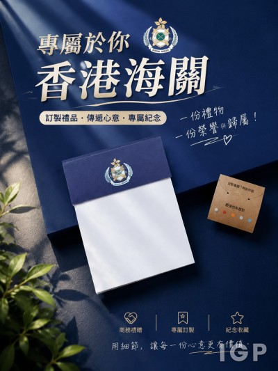 政府飛行服務隊