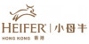 Heifer