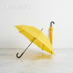 多彩J型手把雨傘