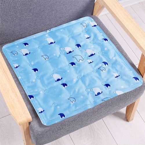 Water-free Cooling Cushion